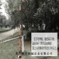 四合一高枝油锯 厂家供应高枝锯 高枝伐木链锯